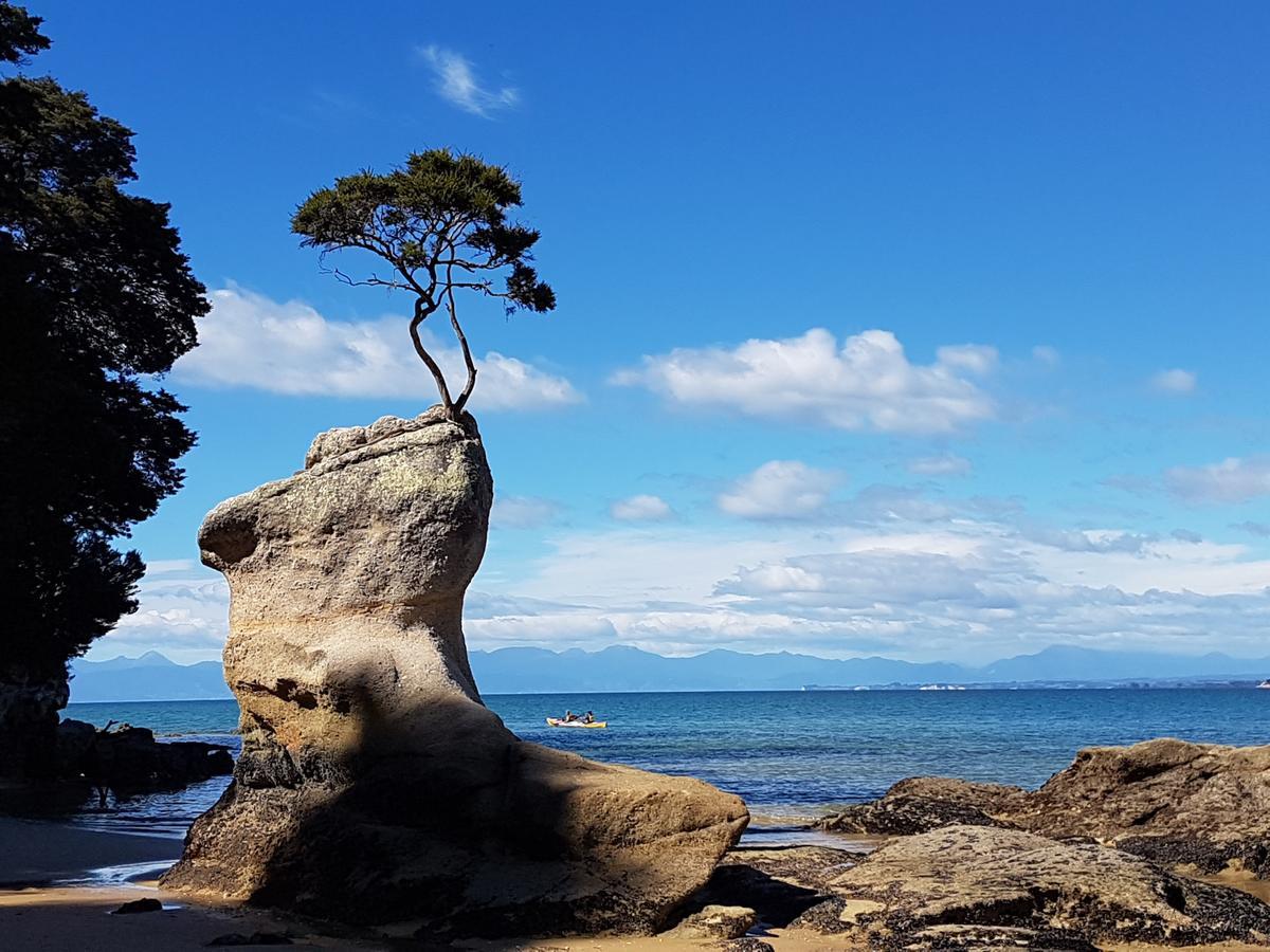 Abel Tasman Sands Bnb Riwaka Esterno foto